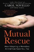 Mutual Rescue How Adopting a Homeless Animal Can Save You Too