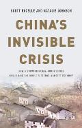 Chinas Invisible Crisis How a Growing Urban Rural Divide Could Sink the Worlds Second Largest Economy
