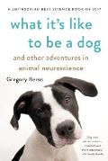 What Its Like to Be a Dog & Other Adventures in Animal Neuroscience