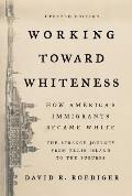 Working Toward Whiteness How Americas Immigrants Became White The Strange Journey from Ellis Island to the Suburbs