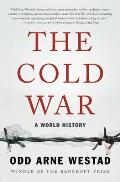 Cold War A World History