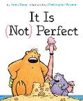 It Is Not Perfect