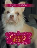 The Adventures of Gypsy Rose