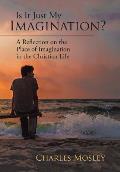 Is It Just My Imagination?: A Reflection on the Place of Imagination in the Christian Life