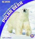 Day in the Life of a Polar Bear A 4D Book