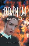 Elementum: Setting Fires