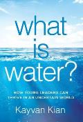 What Is Water?: How Young Leaders Can Thrive in an Uncertain World