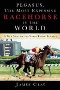 Pegasus, The Most Expensive Racehorse in the World: A True Story of the Global Racing Industry