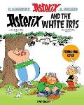 Asterix Volume 40