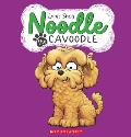 Noodle the Cavoodle