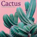 Cactus 2024 12" x 12" Wall Calendar