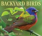 CAL25 Backyard Birds Page a Day Calendar