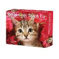 What Cats Teach Us 2025 6.2" x 5.4" Box Calendar