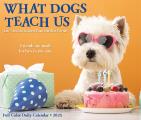 What Dogs Teach Us 2025 6.2" x 5.4" Box Calendar