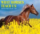 What Horses Teach Us 2025 6.2" x 5.4" Box Calendar
