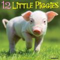 12 Little Piggies 2025 12" x 12" Wall Calendar