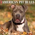 Just American Pit Bull Terriers 2025 12" x 12" Wall Calendar