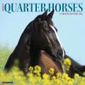 American Quarter Horses 2025 12" x 12" Wall Calendar