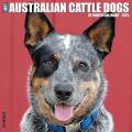 Just Australian Cattle Dogs 2025 12" x 12" Wall Calendar