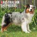 Just Australian Shepherds 2025 12" x 12" Wall Calendar