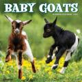 Baby Goats 2025 12" x 12" Wall Calendar