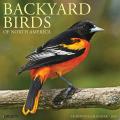 CAL25 Backyard Birds 18 Month Wall Calendar
