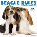 Beagle Rules 2025 12" x 12" Wall Calendar