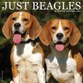 Just Beagles 2025 12" x 12" Wall Calendar