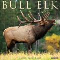Bull Elk 2025 12" x 12" Wall Calendar