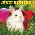 Just Bunnies 2025 12" x 12" Wall Calendar