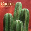 Cactus 2025 12" x 12" Wall Calendar