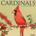 Cardinals 2025 12" x 12" Wall Calendar