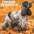 Just Cocker Spaniels 2025 12" x 12" Wall Calendar