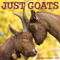 Goats 2025 12" x 12" Wall Calendar