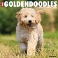 Just Goldendoodles 2025 12" x 12" Wall Calendar