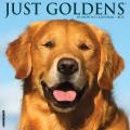 Just Goldens 2025 12" x 12" Wall Calendar