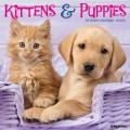 Kittens & Puppies 2025 12" x 12" Wall Calendar