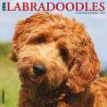 Just Labradoodles 2025 12" x 12" Wall Calendar