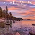 Lake View 2025 12" x 12" Wall Calendar