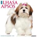 Just Lhasa Apsos 2025 12" x 12" Wall Calendar