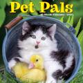 Pet Pals 2025 12" x 12" Wall Calendar