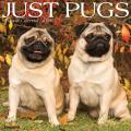 Just Pugs 2025 12" x 12" Wall Calendar