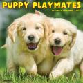 Puppy Playmates 2025 12" x 12" Wall Calendar