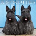 Just Scotties 2025 12" x 12" Wall Calendar