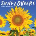 Sunflowers 2025 12" x 12" Wall Calendar