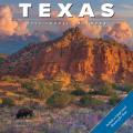 Texas 2025 12" x 12" Wall Calendar