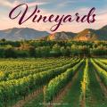 Vineyards 2025 12" x 12" Wall Calendar