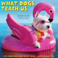 What Dogs Teach Us 2025 12" x 12" Wall Calendar