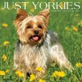 Just Yorkies 2025 12" x 12" Wall Calendar