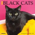 Just Black Cats 2025 7" x 7" Mini Wall Calendar